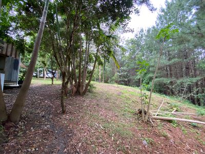 34 Tulsi Lane, Nimbin