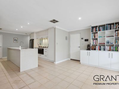 51 Jackadder Avenue, Hammond Park