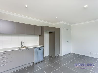 12A Gardenia Drive, Medowie