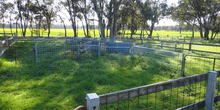 Walls Road, Euroa
