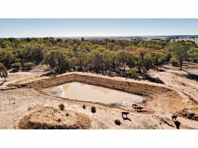 53R Rosedale Road, Dubbo