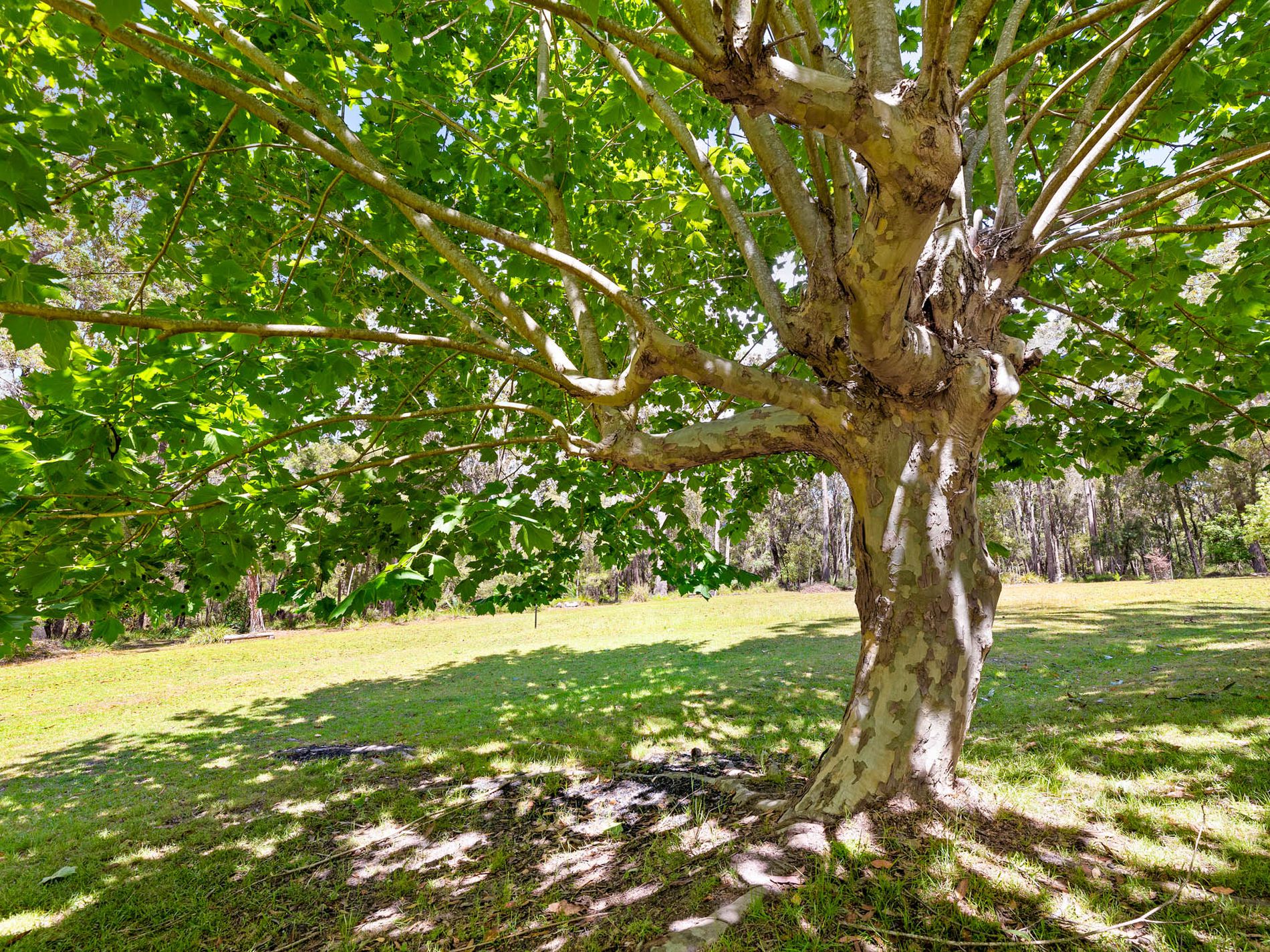 343 Bingie Road, Bingie