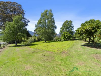 20 Ryders Lane, Tawonga