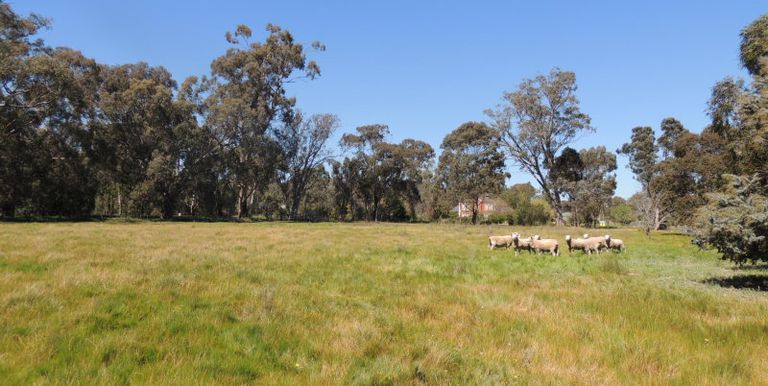109-117 Boundary Road South, Euroa