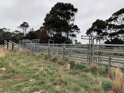 161 Coopers Lane, Wynyard