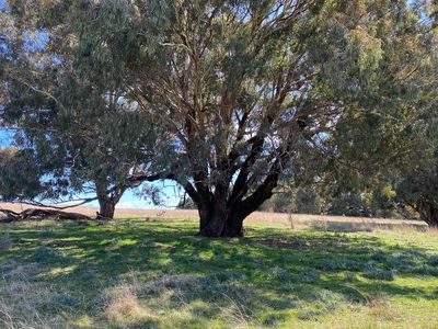 662 Jerrara Road, Crookwell
