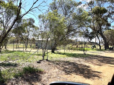 LOT 10 KNOTTS ROAD, BALLADONG WA 6302, Balladong