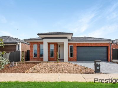 17 Cromarty Crescent, Kalkallo