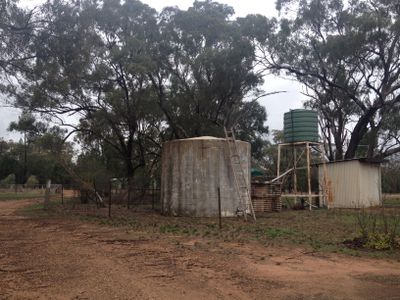 33 Wattle Road, Elong Elong