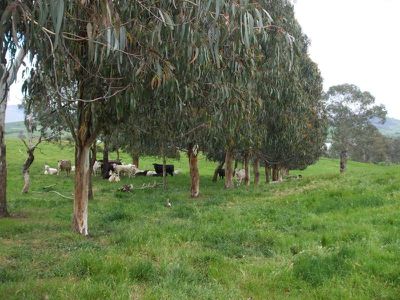 1441 Murray Valley Highway, Huon