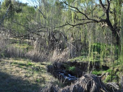 Hume Highway, Mullengandra