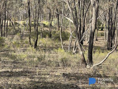 CA 37H Olympic Parade, Maiden Gully