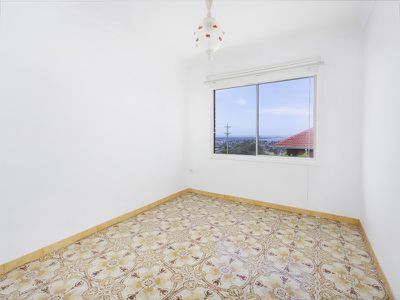 1 / 207 Flagstaff Road, Lake Heights