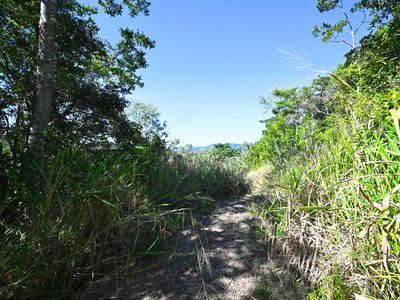 461 Sugarloaf Road, Riordanvale