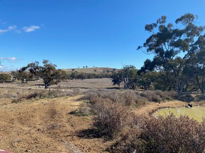 4570 Black Stump Way, Coolah