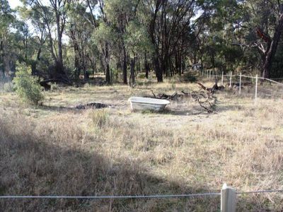 Lot 24 Tilly Willy Road, Coolah