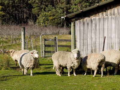 59 Sky Farm Road, Deep Bay