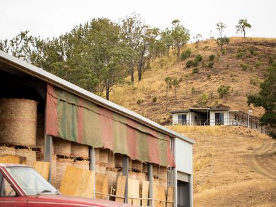 43 Berlin Road, Mount Berryman