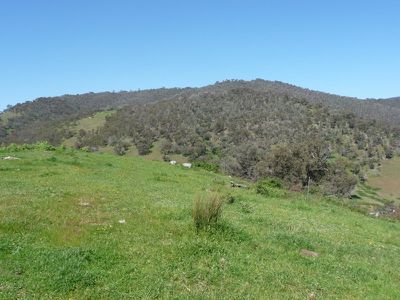 Bryants Gap Road, Tallangatta