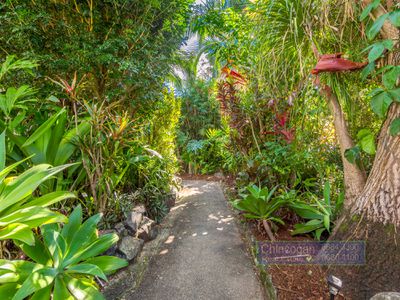 11 Dalley Street, Mullumbimby
