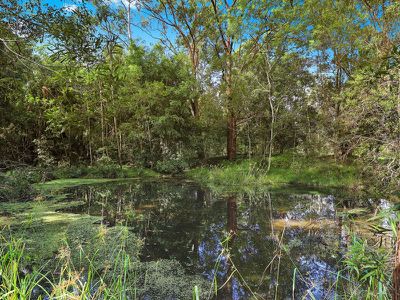 47 Birdsong Drive, Mooloolah Valley