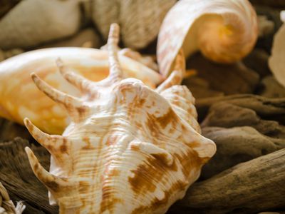 4 Nautical Court, Yanchep