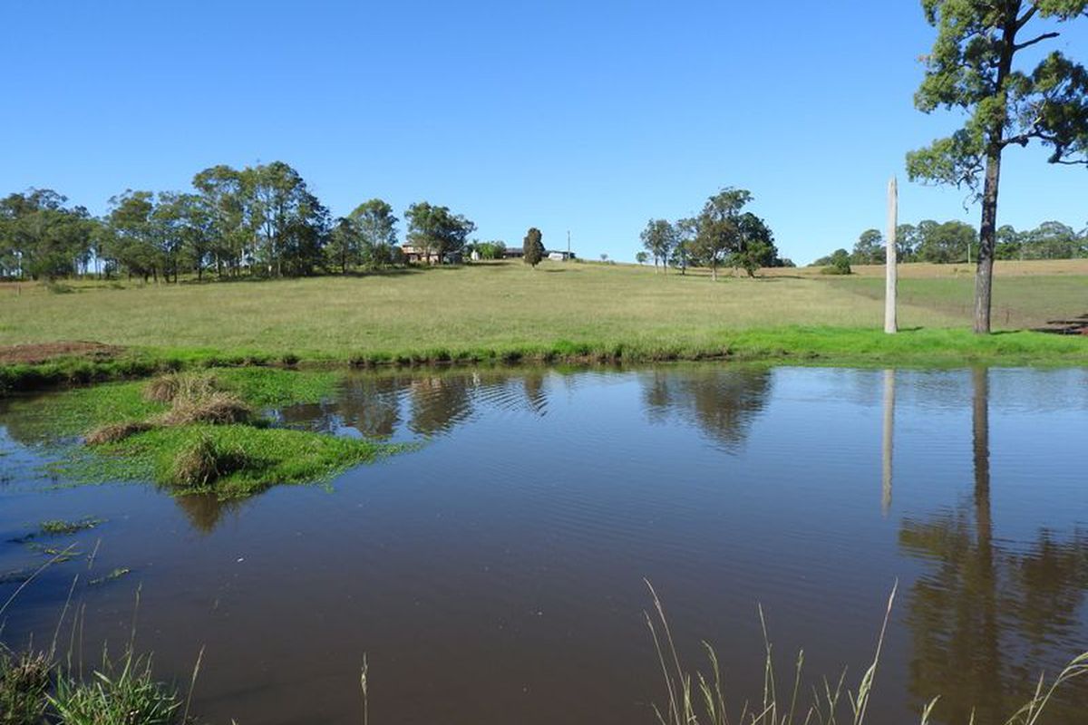 Tinonee