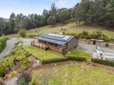 1010 Halls Track Road, Pelverata