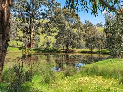 90 Campagnolos Road, Mansfield