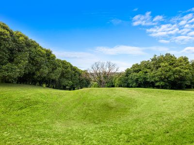 1005 TUNTABLE CREEK ROAD, Nimbin