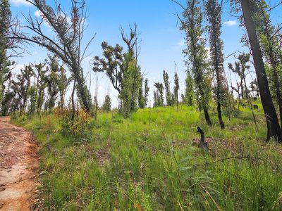 238 Reedy Creek Road, Eurobodalla