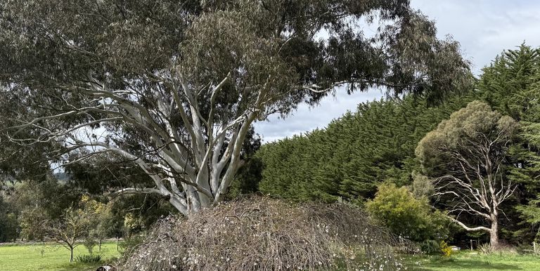 2122 Euroa-Strathbogie Road, Strathbogie
