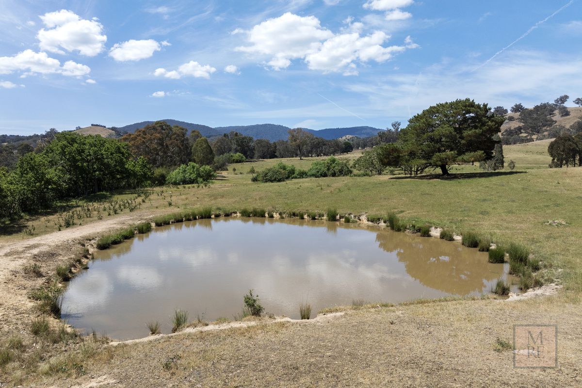 'Dalhaven' via Hells Hole Creek Road, Bonnie Doon