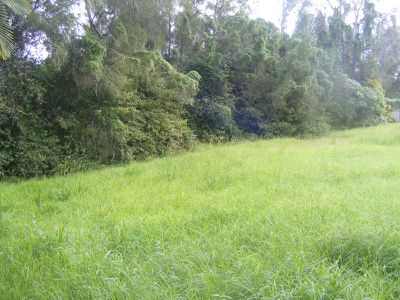 14 Victoria Place, Forster