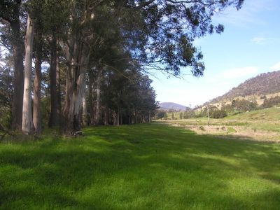 356 She Oak Road, Judbury