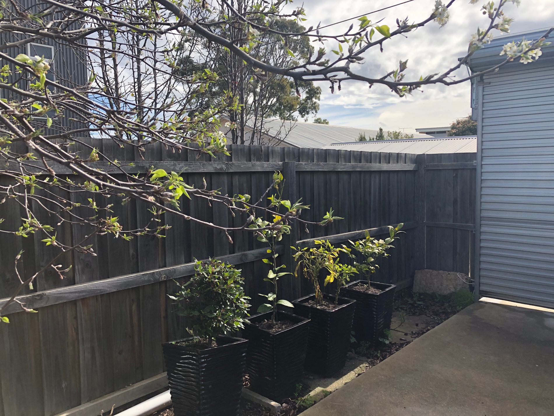 172B Ormond Road, Thomson