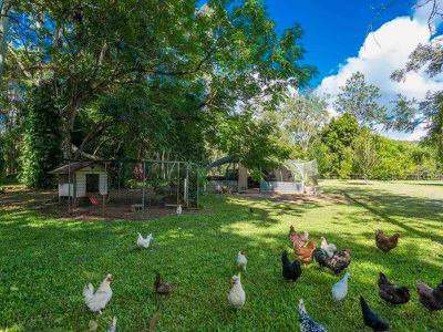 401 Terania Creek Road, The Channon