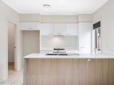 14 Grevillea Crescent, Lidcombe