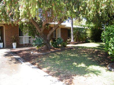 19 WALTER RODD STREET, Gunnedah
