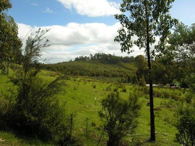 Bermuda Road, Glen Huon