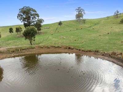 Part of 160 Botterills Lane, Seymour