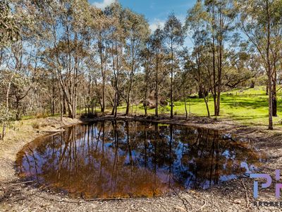 510 Spring Flat Road, Heathcote