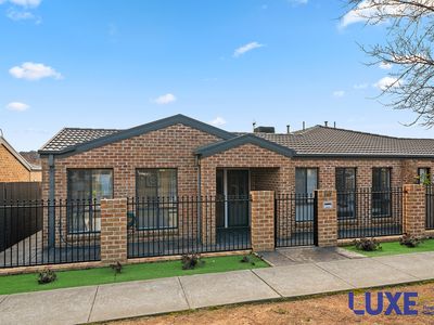 287 Anthony Rolfe Avenue, Gungahlin