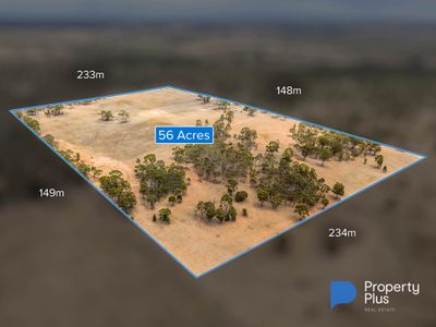 86 Lees Road, Bet Bet