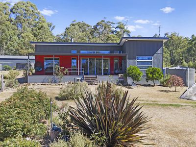 88 Altmans Road, Tolmie