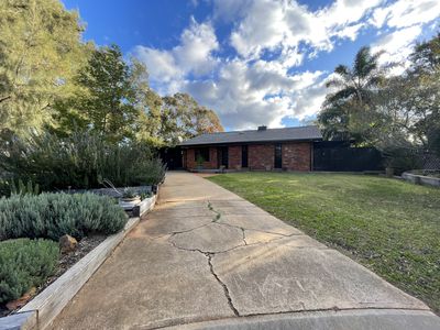 17 Sherwood Avenue, Dubbo