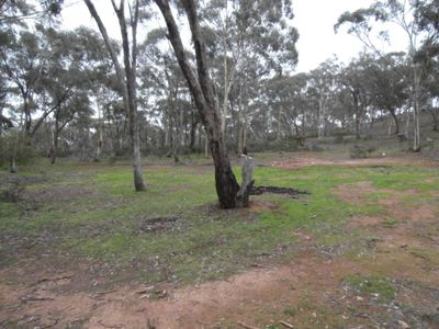 Lot 8A, Bobsiens Hill Road, Wedderburn