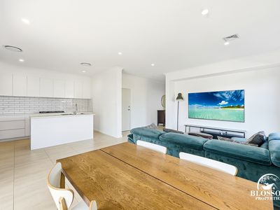 16 Planthopper Street, Marsden Park