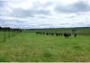 277 Fanning Road, Mullion Creek