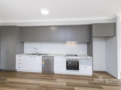 19 Ferguson Street, Maylands